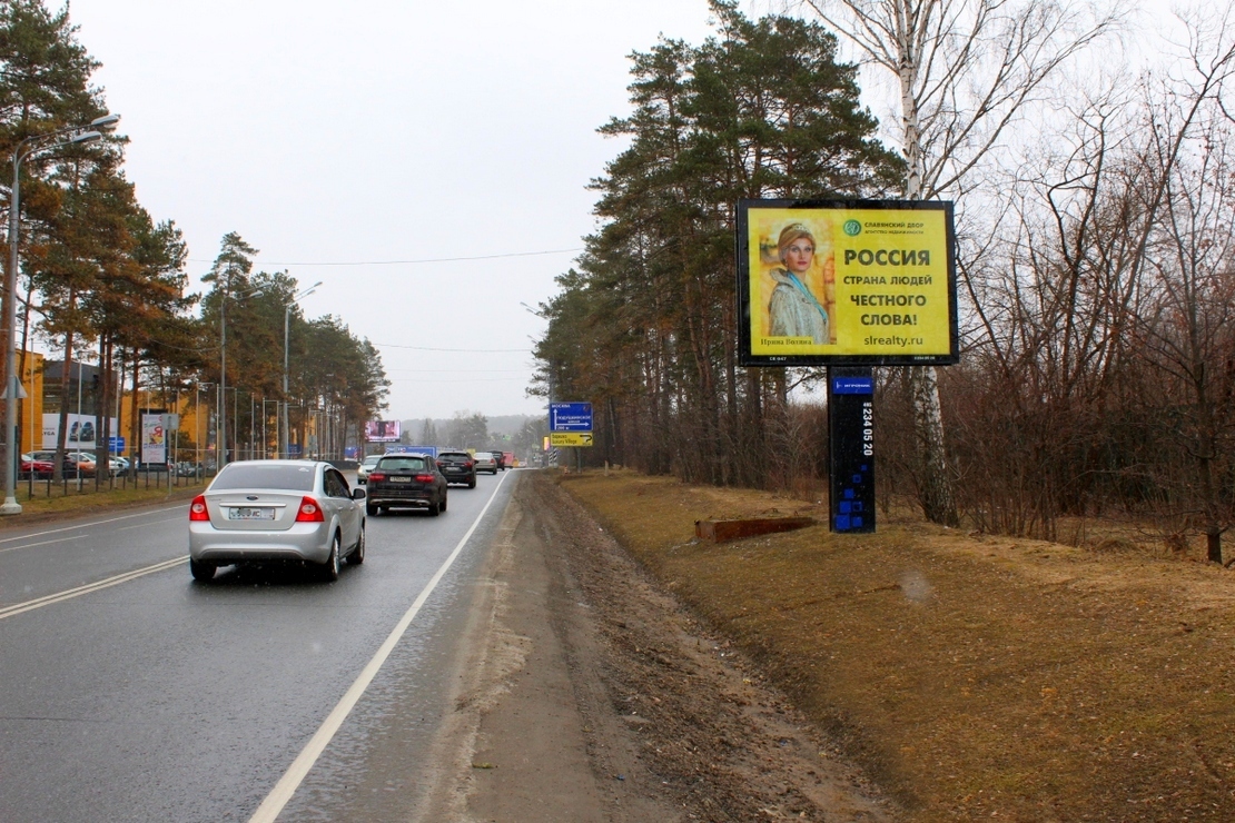 Fall In Love With Cat