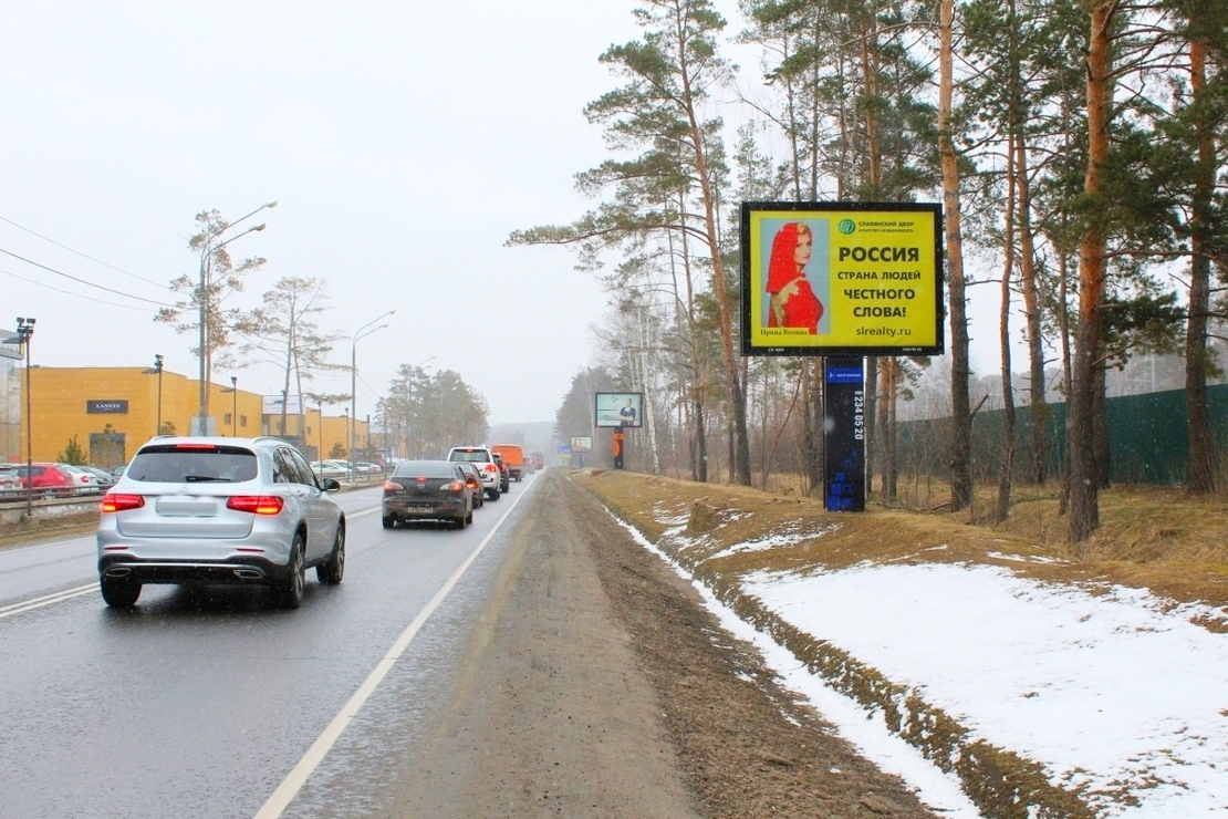 Fall In Love With Cat