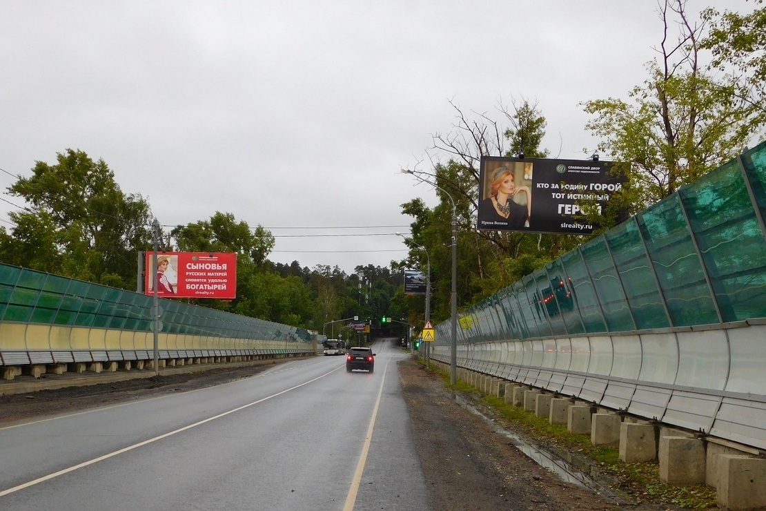 Fall In Love With Cat