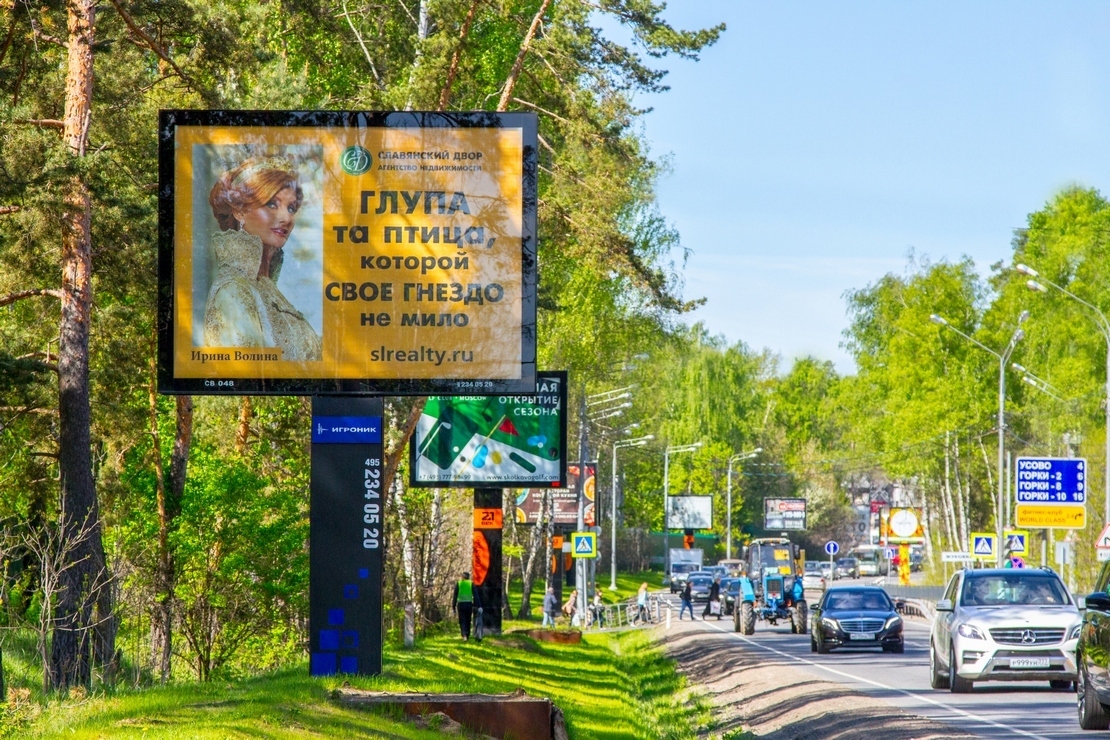 Fall In Love With Cat