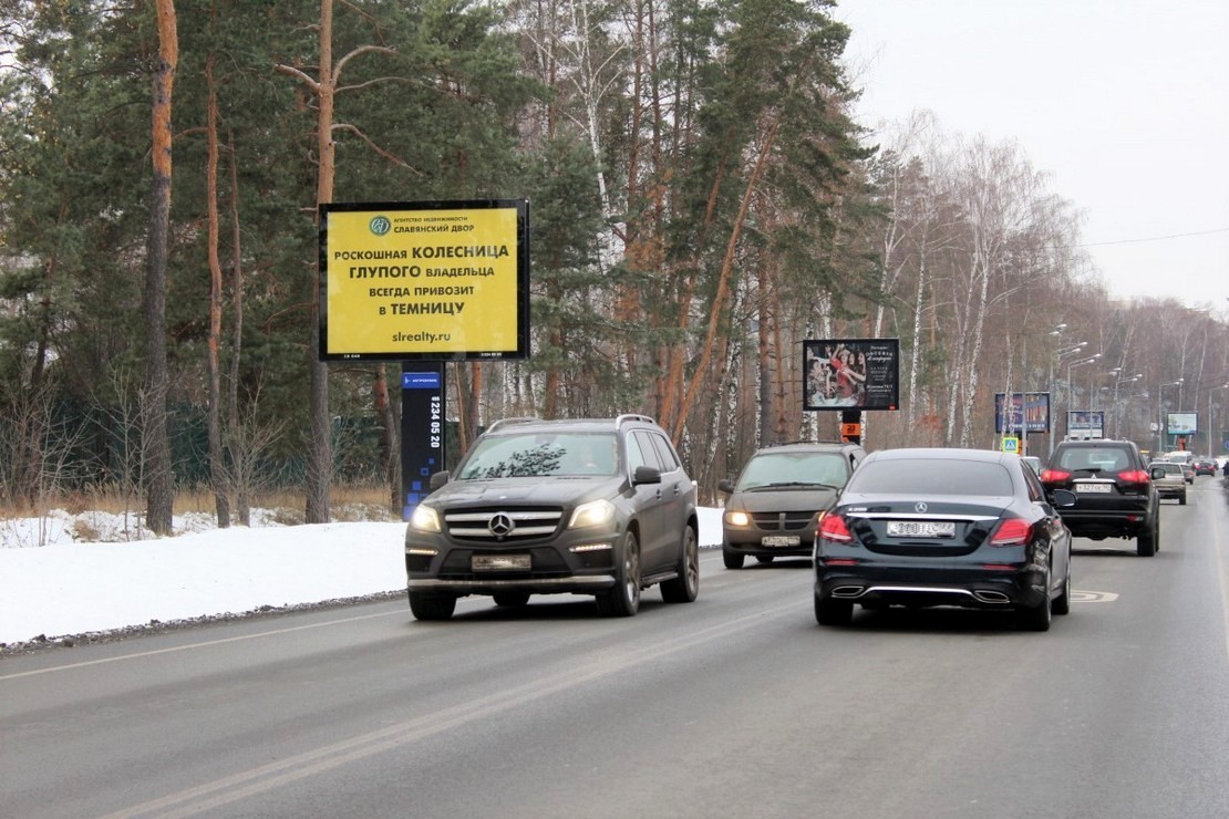 Fall In Love With Cat