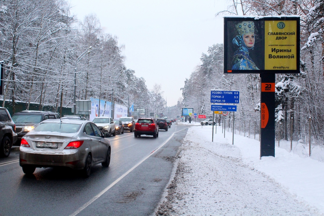 Fall In Love With Cat