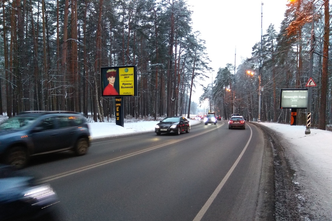 Fall In Love With Cat